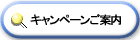 キャンペーンのご案内