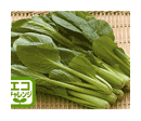 エコ・小松菜（産直いきいき品質）